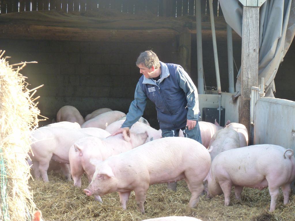 La Ferme Chauvet Panzió Chantenay-Villedieu Kültér fotó