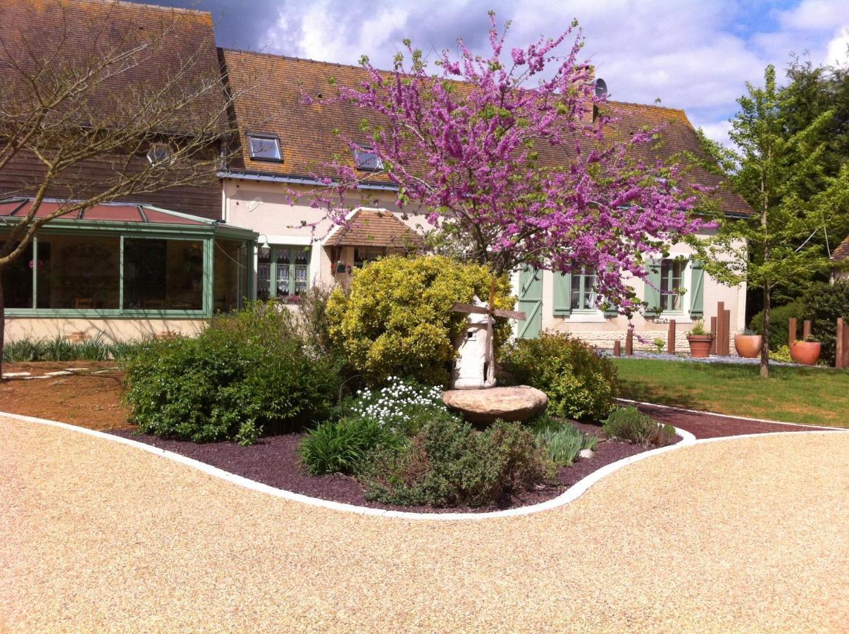 La Ferme Chauvet Panzió Chantenay-Villedieu Kültér fotó
